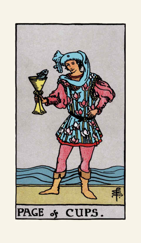 Page of Cups