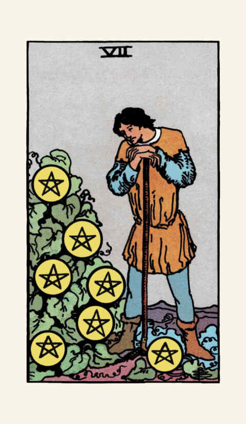 Seven of Pentacles