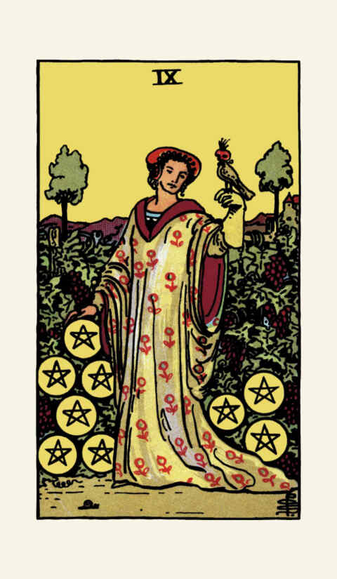 Nine of Pentacles