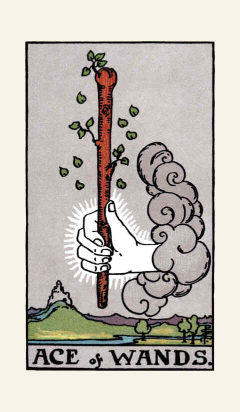 Ace of Wands